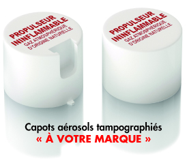 aerosol decapant fort a effet instantane. thixotrope, utilisable sur surfaces verticales. decape peintures, resines, fortement reticulees y compris cuites au four. aerosol decapant, decapant peinture, decapant joint, decapant rapide aerosol, decapant, decapant instantane  